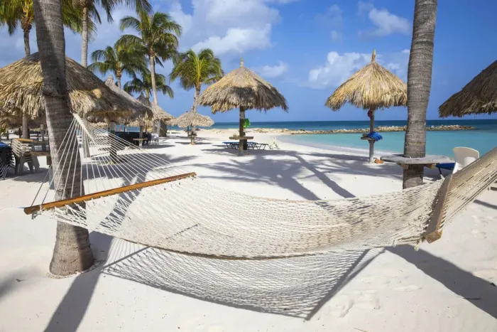 Framed Print : Caribbean, Netherland Antilles, Aruba, Hammock on Palm beach Framed Print : Caribbean, Netherland Antilles, Aruba, Hammock on Palm beach