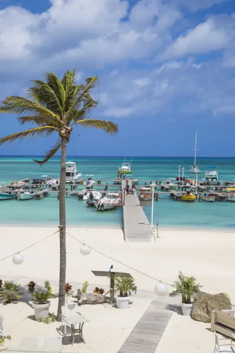 Framed Print : Caribbean, Netherland Antilles, Aruba, View of Palm beach and Fishermans pier Framed Print : Caribbean, Netherland Antilles, Aruba, View of Palm beach and Fishermans pier