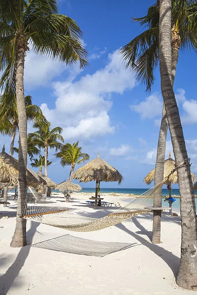 Caribbean, Netherland Antilles, Aruba, Hammock on Palm beach