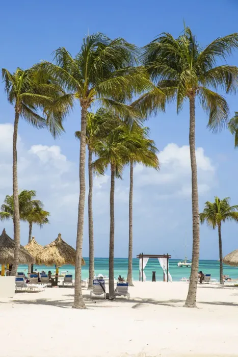 Framed Print : Caribbean, Netherland Antilles, Aruba, Palm beach Framed Print : Caribbean, Netherland Antilles, Aruba, Palm beach
