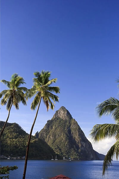Caribbean, St Lucia, Petit Piton and Soufriere Bay