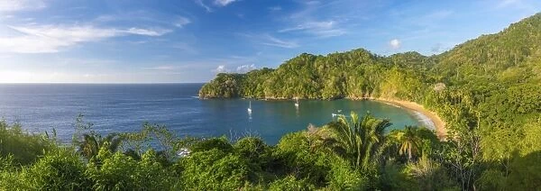 Caribbean, Trinidad and Tobago, Tobago, Englishmans Bay, Englishmans Bay Beach