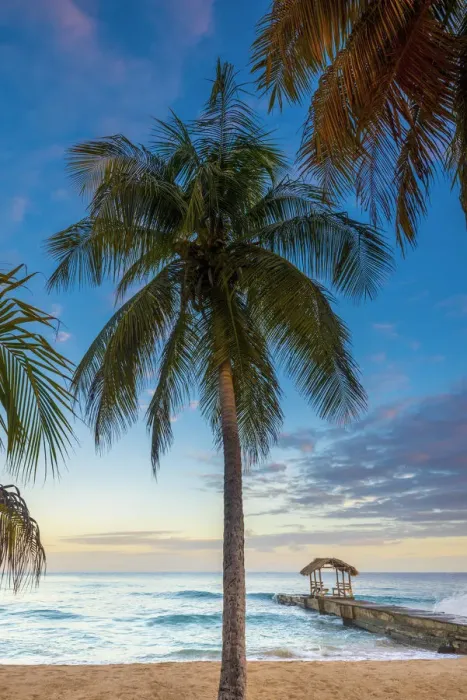 Framed Print : Caribbean, Trinidad and Tobago, Tobago, Sandy Point Framed Print : Caribbean, Trinidad and Tobago, Tobago, Sandy Point