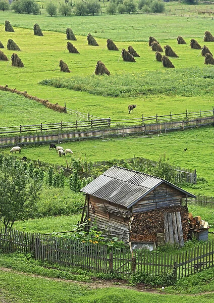 Carpathians, Yasinya, Zakarpattia Oblast (Transcarpathian Oblast, Transcarpathia