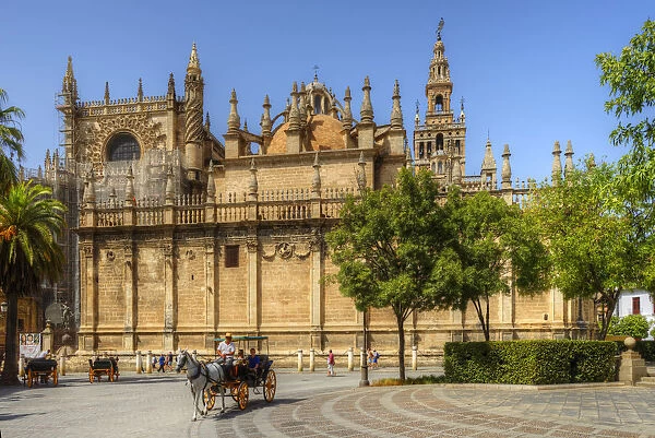 Carriage at Plaza del Triunfo with Cathedral, UNESCO World Heritage Site; Sevilla
