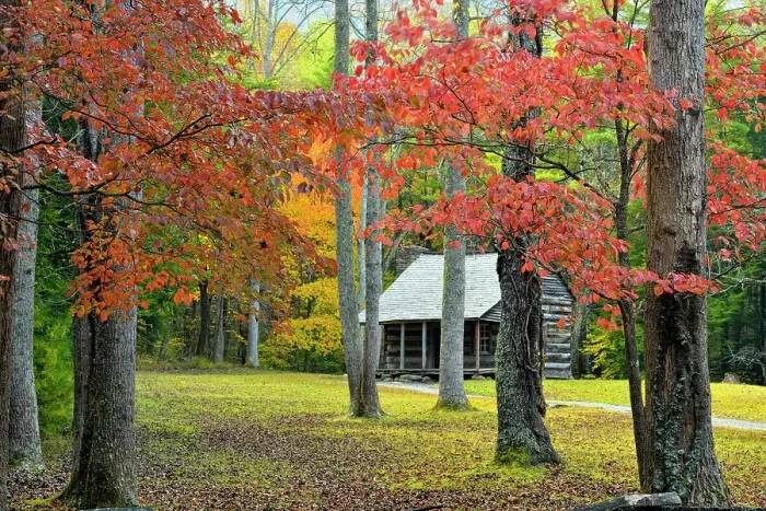 Framed Print : The Carter Shields Cabin in Cades Cove in autumn, Great Smoky Mountains NP, Tennessee, USA Framed Print : The Carter Shields Cabin in Cades Cove in autumn, Great Smoky Mountains NP, Tennessee, USA