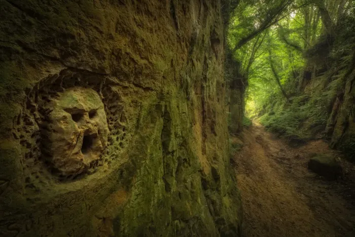 Framed Print : Carving in rock along Shutes Lane, Sunken Lane (Holloway), Symondsbury, Bridport, Dorset