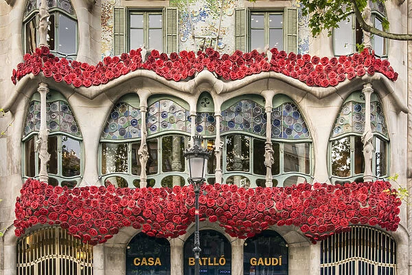 Casa Batllo adorned with roses to celebrate La Diada de Sant Jordi or Saint Georges Day