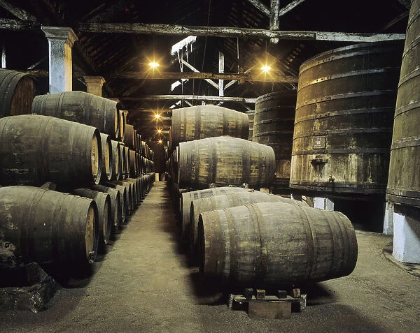 The Casa do Douro wine cellars, Regua, Portugal