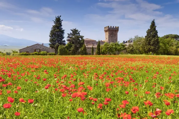 Framed Print : Casa Picchiata & Field of Poppies, near Pienza, Tuscany, Italy Framed Print : Casa Picchiata & Field of Poppies, near Pienza, Tuscany, Italy