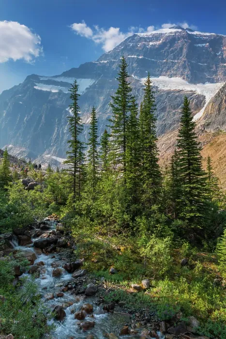 Framed Print : Cascading waterfall along the Edith Cavell Trail. Jasper National Park, Alberta, Canada Framed Print : Cascading waterfall along the Edith Cavell Trail. Jasper National Park, Alberta, Canada