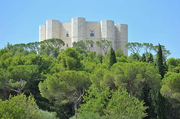 Castel del Monte castle, Andria province, Apulia region, Italy, Europe