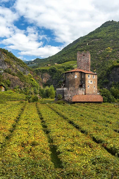 Castel Novale among the vineyards Europe, Italy, South Tyrol, Sarentino valley, Bolzano