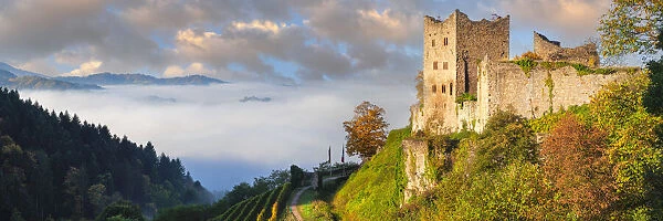 Castle ruin Schauenburg, Oberkirch, Baden Wine Route, Black Forest, Baden-Wurttemberg, Germany