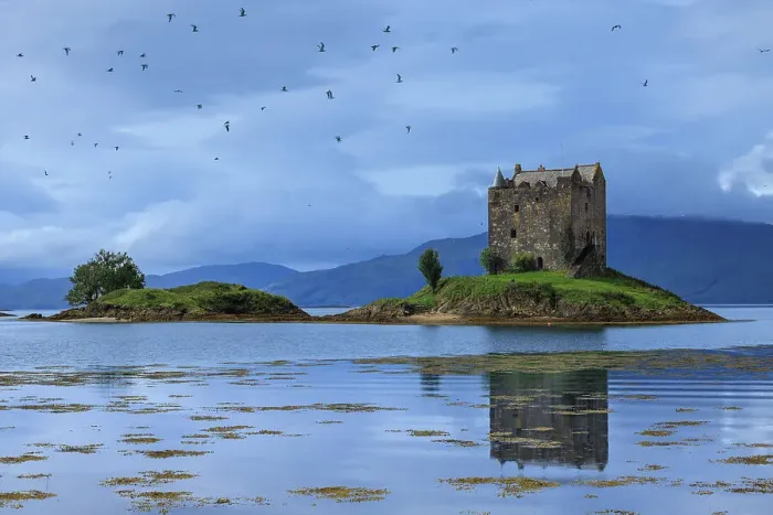 Framed Print : Castle Stalker on Loch Linnhe, Appin, Argyll & Bute, Scotland