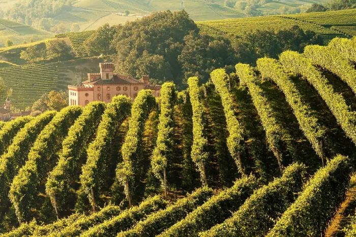 Framed Print : Castle with vineyards in the Langhe region. Cuneo province, Piedmont, Italy