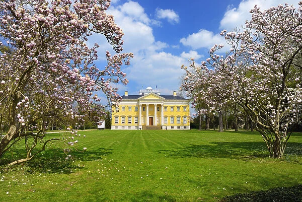 Castle Woerlitzer Park with blooming Magnolia trees, Dessau-Woerlitzer Gartenreich, Unesco World Heritage, Saxony-Anhalt, Germany