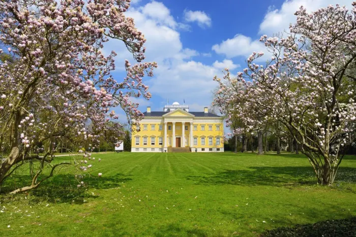 Framed Print : Castle Woerlitzer Park with blooming Magnolia trees, Dessau-Woerlitzer Gartenreich, Unesco World Heritage, Saxony-Anhalt, Germany