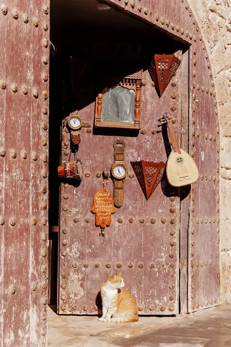 Framed Print : Cat by a door in Essaouira, Morocco Framed Print : Cat by a door in Essaouira, Morocco