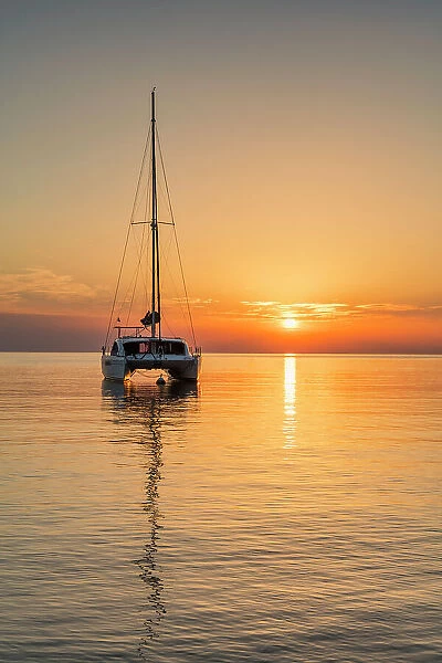 Catamaran at Sunrise, Collioure, Pyrenees-Orientales, France