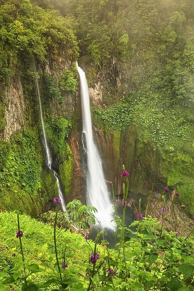 Catarata del Toro, waterfall in the rain forest Alajuela, Costa Rica, Latin America
