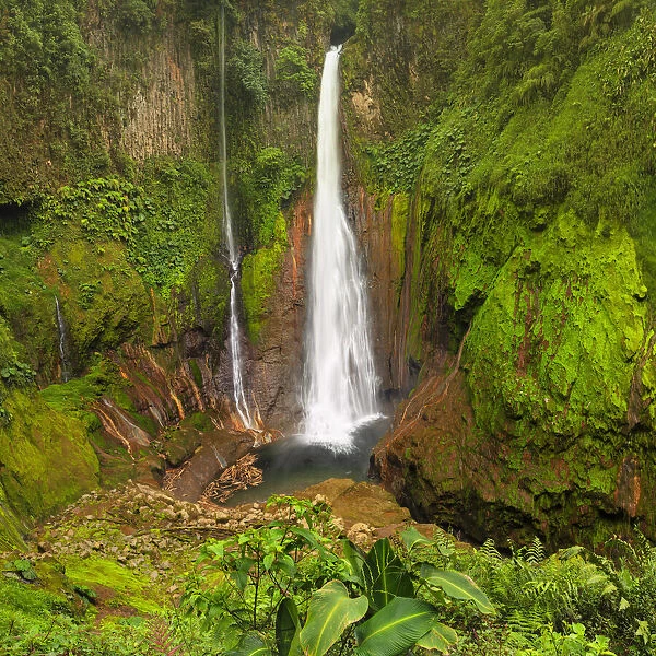 Catarata del Toro, waterfall in the rain forest Alajuela, Costa Rica, Latin America