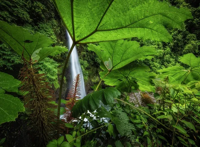 Framed Print : Catarata de La Paz (La Paz waterfall), Alajuela Province, Costa Rica Framed Print : Catarata de La Paz (La Paz waterfall), Alajuela Province, Costa Rica