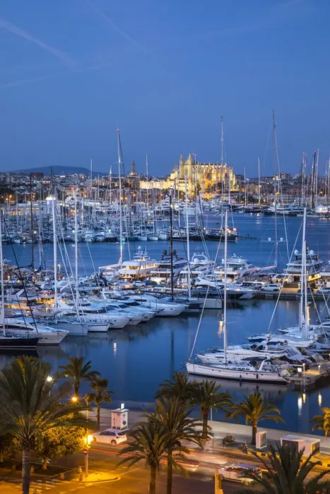 Framed Print : Cathedral La Seu & harbour, Palma, Mallorca, Balearic Islands, Spain Framed Print : Cathedral La Seu & harbour, Palma, Mallorca, Balearic Islands, Spain