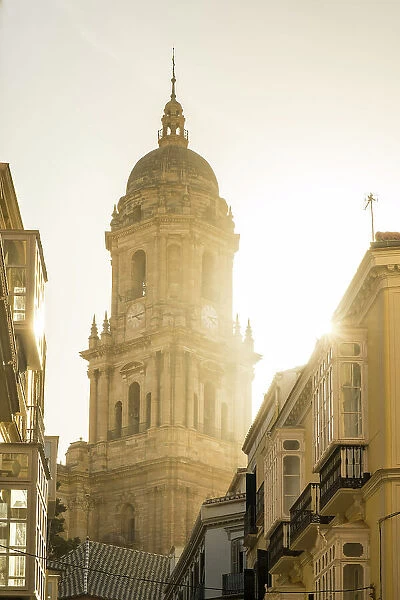 Cathedral, Malaga City, Andalusia, Spain