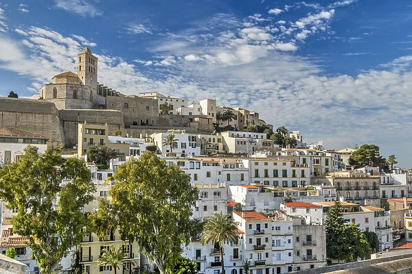 Cathedral and old town skyline, Dalt Vila, Ibiza, Balearic Islands, Spain