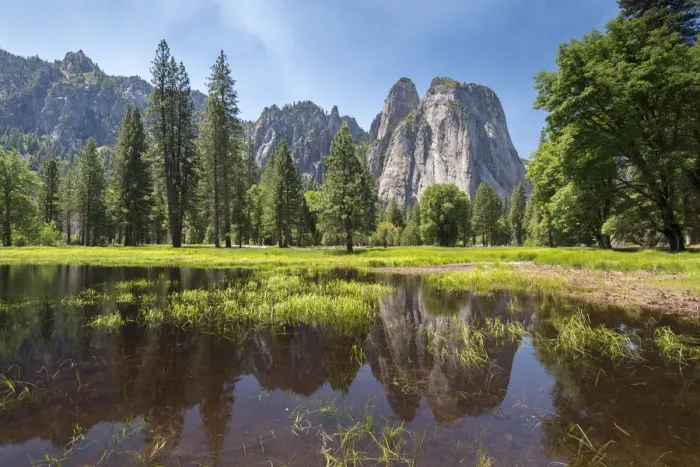 Framed Print : Cathedral Rocks photographed from Yosemite Valley in springtime, California, USA. Spring Framed Print : Cathedral Rocks photographed from Yosemite Valley in springtime, California, USA. Spring