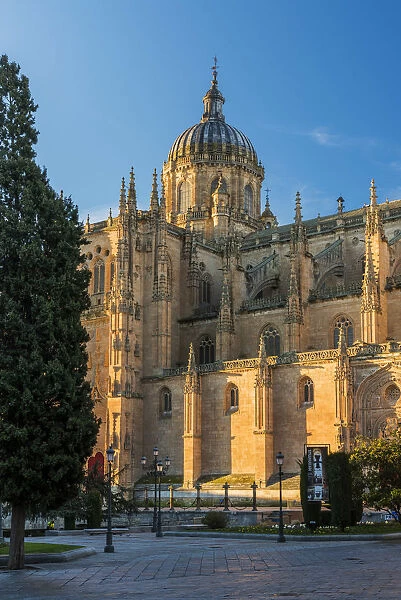 Cathedral, Salamanca, Castile and Leon, Spain