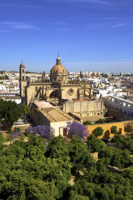Framed Print : The Cathedral of San Salvador with Blossoming Jacaranda Trees, Jerez de la Frontera Framed Print : The Cathedral of San Salvador with Blossoming Jacaranda Trees, Jerez de la Frontera