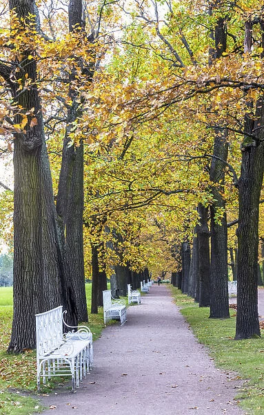 Catherine Park in autumn, Pushkin (Tsarskoye Selo), near St. Petersburg, Russia