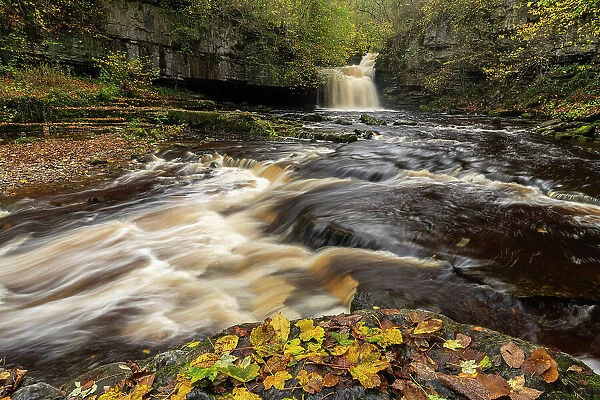 Cauldron Falls waterfall at West Burton in the Yorkshire Dales National Park, Yorkshire, England. Autumn (November) 2022