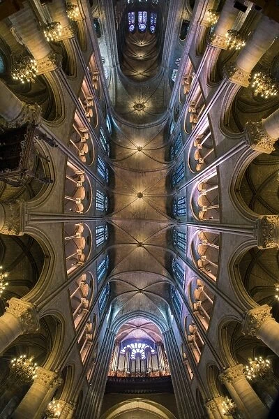 20x16 50x40cm Canvas Print Of Ceiling Of The Notre Dame Cathedral Paris France