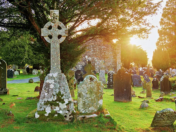 Celtic Cross with Cathedral ruins in the background at sunrise, Early Medieval Monastic Settlement, Glendalough, County Wicklow, Ireland
