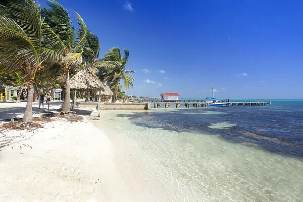 Central America, Belize, Ambergris Caye, San Pedro, the beach and Barrier Reef drive