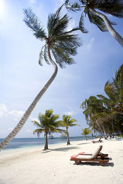 Central America, Belize, Ambergris Caye, San Pedro, sun loungers on the beach with