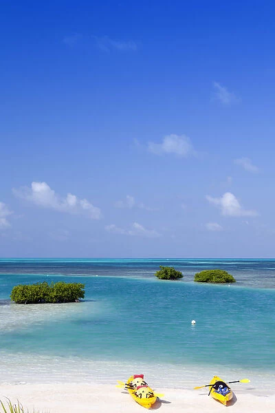 Central America, Belize, Belize district, Little Frenchman Caye, Royal Palm Island