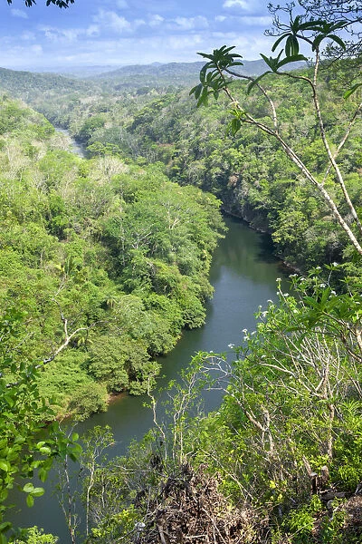 Central America, Belize, Cayo, San Ignacio, view of the Mopan river surrounded by