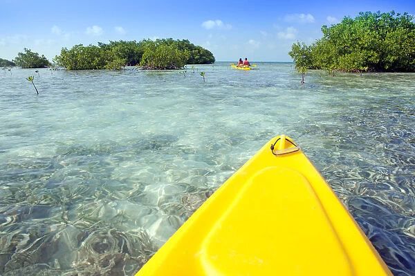 Central America, Belize, a point of view shot of kayaking through mangrove cayes in