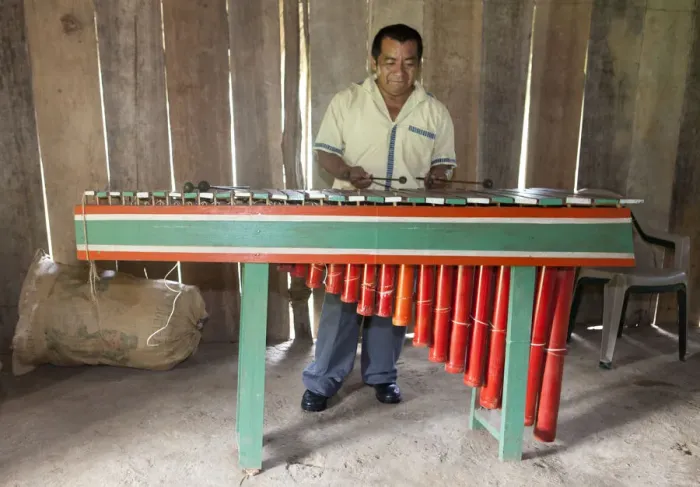 Framed Print : Central America, Belize, Toledo, Aguacate, a Qeqchi-Maya man playing the marimba Framed Print : Central America, Belize, Toledo, Aguacate, a Qeqchi-Maya man playing the marimba