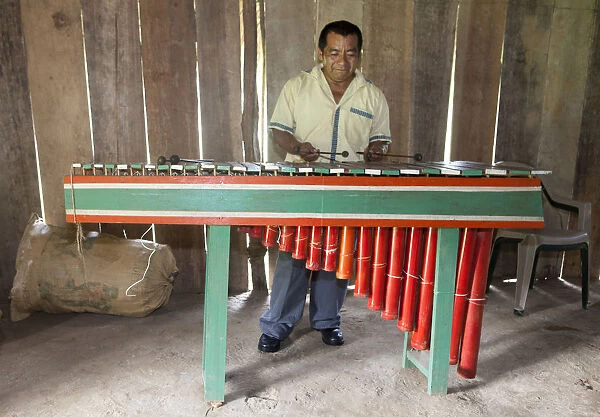 Central America, Belize, Toledo, Aguacate, a Qeqchi-Maya man playing the marimba