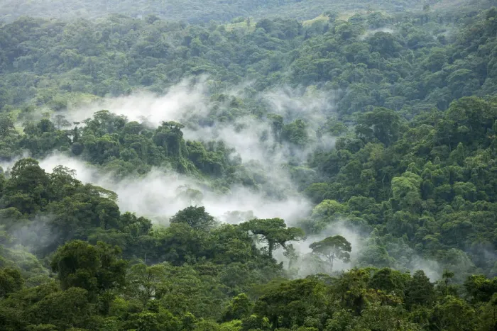Framed Print : Central America, Costa Rica, mist rising off cloud forest