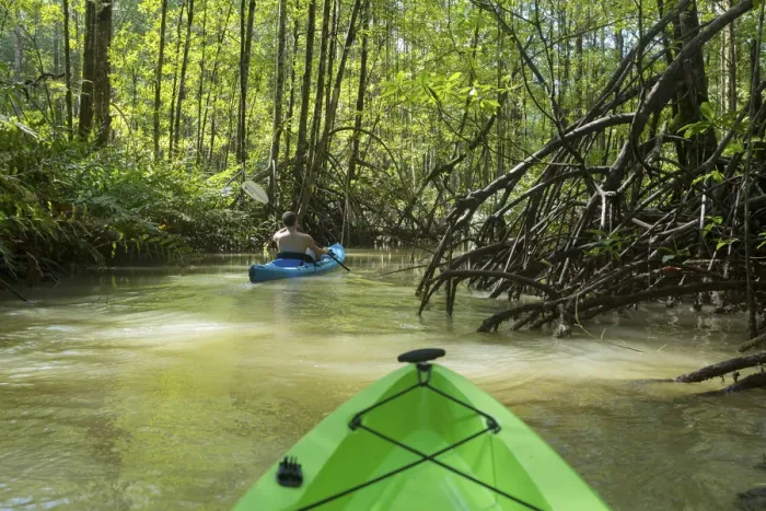 Framed Print : Central America, Costa Rica, Puntarenas, Golfito, Golfo Dulce, kayakers on riversin