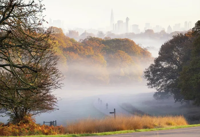 Framed Print : Central London as seen from Richmond Park during misty autumn morning, Richmond, London, England Framed Print : Central London as seen from Richmond Park during misty autumn morning, Richmond, London, England