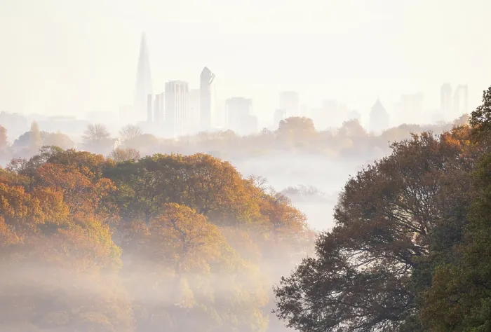 Framed Print : Central London as seen from Richmond Park during misty autumn morning, Richmond, London, England Framed Print : Central London as seen from Richmond Park during misty autumn morning, Richmond, London, England