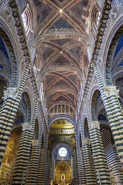 Central nave of Duomo di Siena (Siena Cathedral) interior, Siena, Tuscany, Italy, Europe