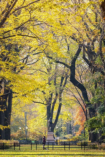 Central Park during autumn, Manhattan, New York, Usa (MR)